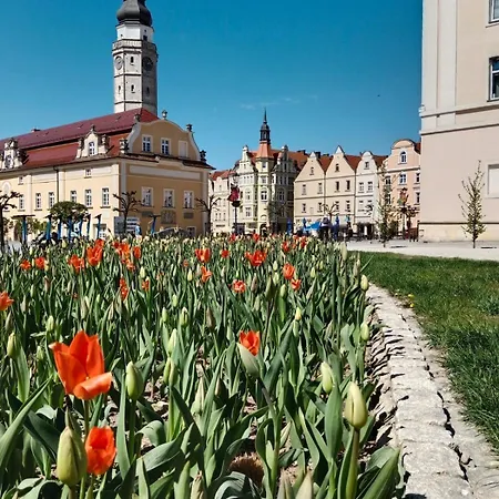 Blue Cozy In Apartamento Boleslawiec (Lower Silesia)